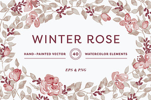 Winter Rose Watercolor Collection