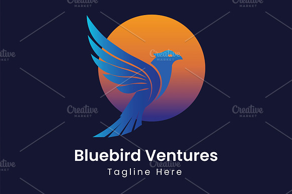 Bluebird Ventures Logo Template preview 2