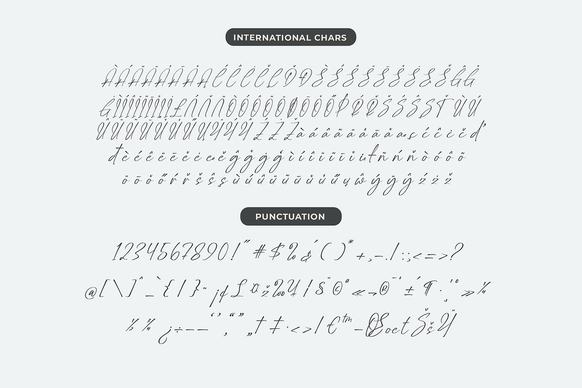 Delynta Roastiph Handwritten Ink Fon, a Script Font by Letterena Studios Script (Photo 13 of 15)