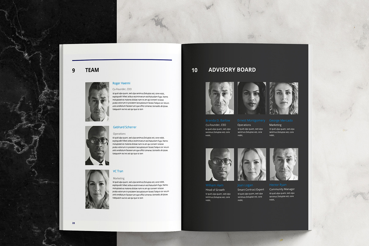 White Paper Template, a Brochure Template by azadcsstune (Photo 12 of 15)