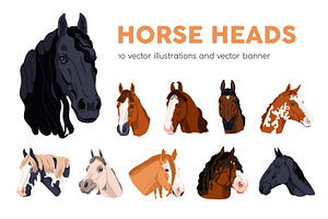 Horse heads set. Stallions breeds, an Animal Illustration by Good Studio