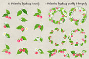 Watercolor Botanical DIY pack, an Illustration by Mockup Up! (Thumbnail 3 of 4)