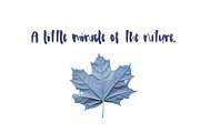 Haley Font, a Script Font by SophieSaxo (Thumbnail 3 of 10)