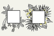 TROPIC set 2, a Decorative Illustration by Tanya Akhmett (Thumbnail 5 of 10)