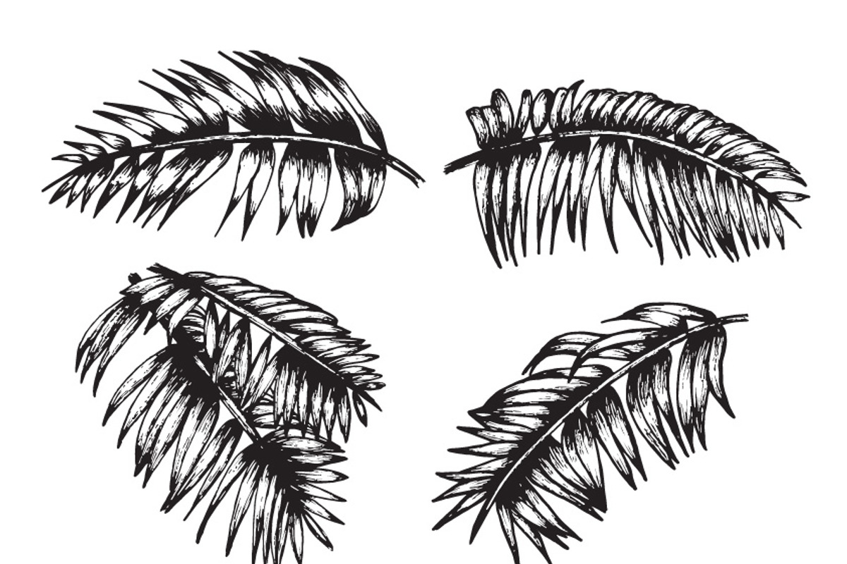 Tropical Expedition Collection, an Animal Illustration by Go Rogue (Photo 3 of 3)