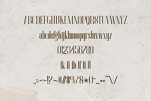 Zarabella, Modern Serif Font