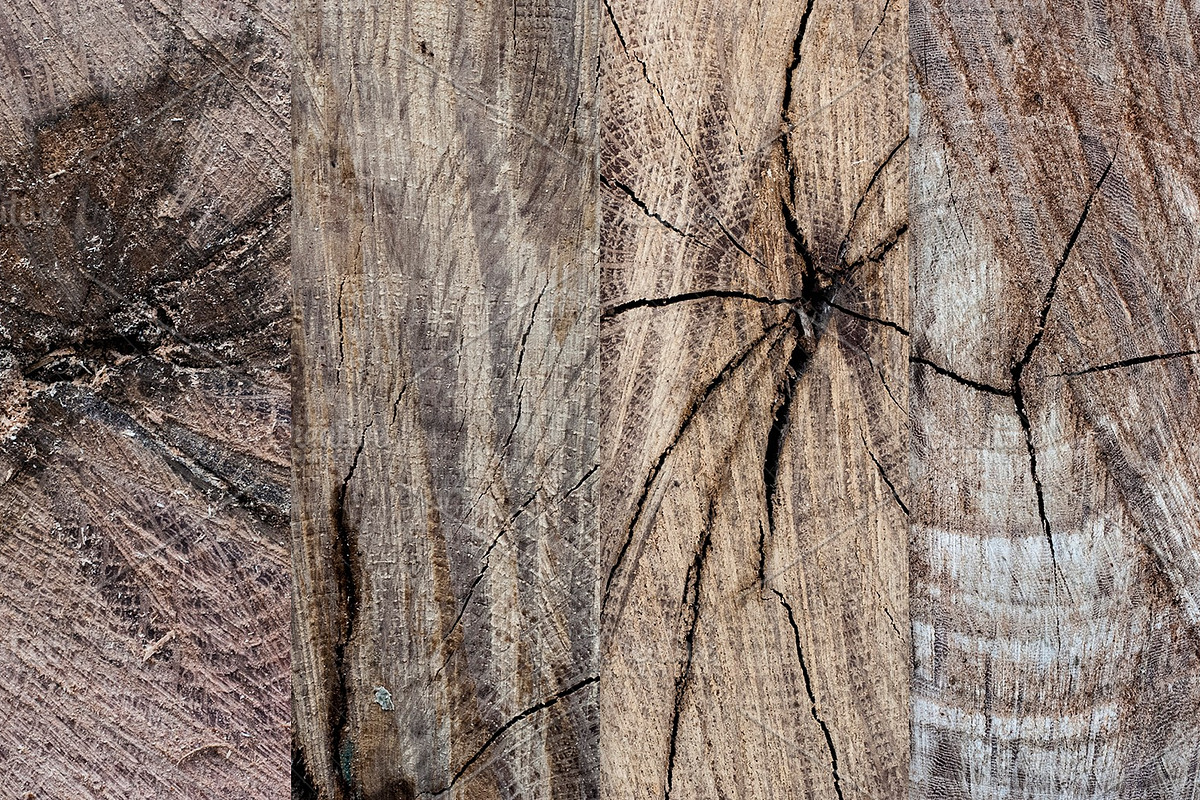 14 Tree & Wood Ring Textures, a Nature Photo by WeGraphics (Photo 6 of 6)