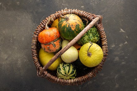 Pumpkins on a green background, a Food & Drink Photo by Pandateam