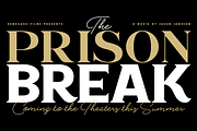 Boardwalk Avenue, a Serif Font by Fenotype (Thumbnail 4 of 17)