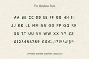 The Meadows - Font Trio & Extra, a Handwritten Font by Davide Bassu (Thumbnail 24 of 25)