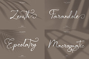 Elegant Script Font Bundle, a Script Font by Flawless And Co (Thumbnail 10 of 11)