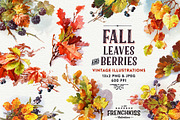 Fall Leaves and Berries, an Illustration by French Kiss Collections (Thumbnail 1 of 7)