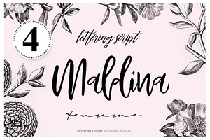 Maldina Feminime 4 Fonts