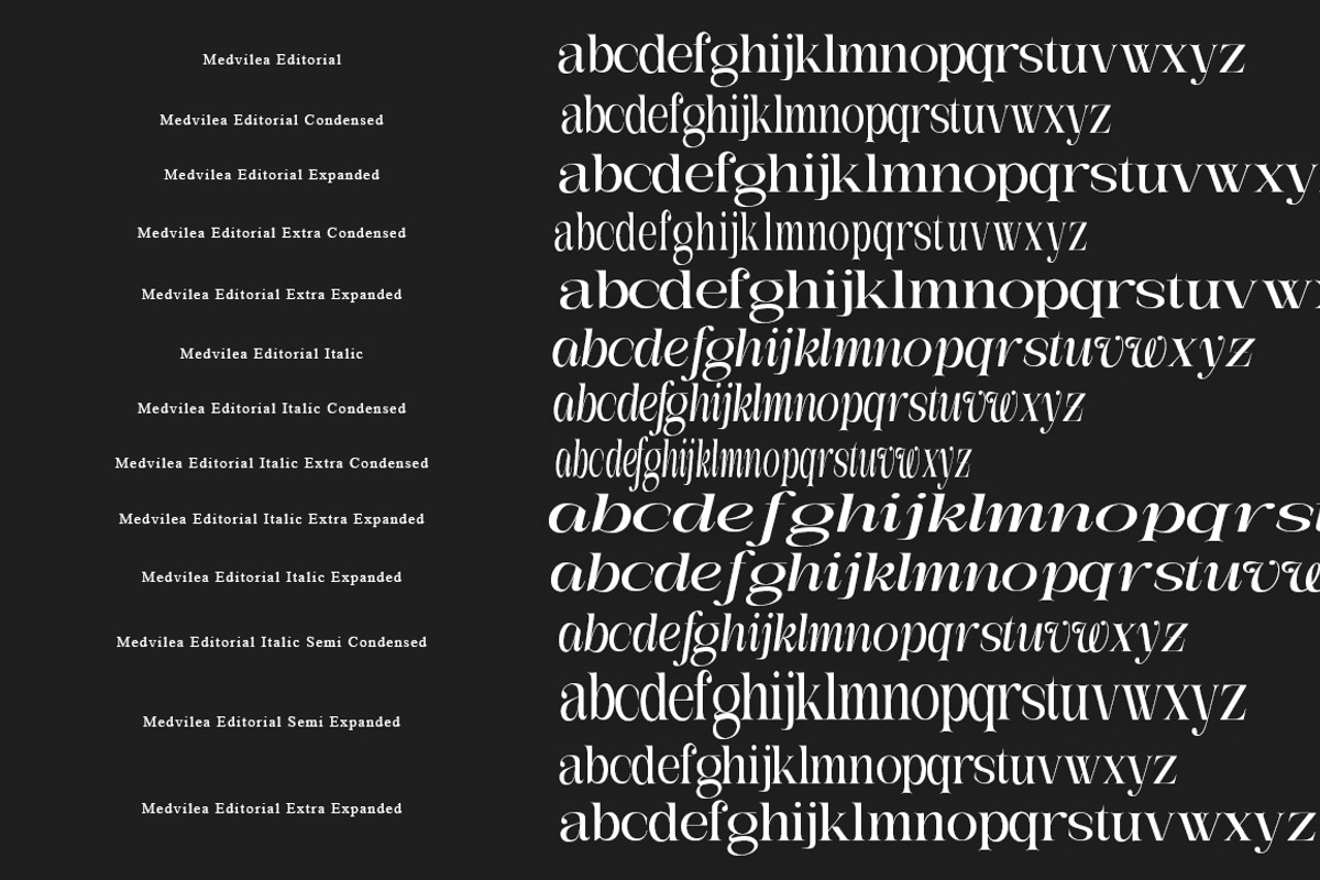 Medvilea Editorial | 15 Style Font, a Serif Font by IM Studio (Photo 12 of 13)