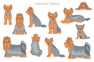 Yorkshire Terrier Clipart