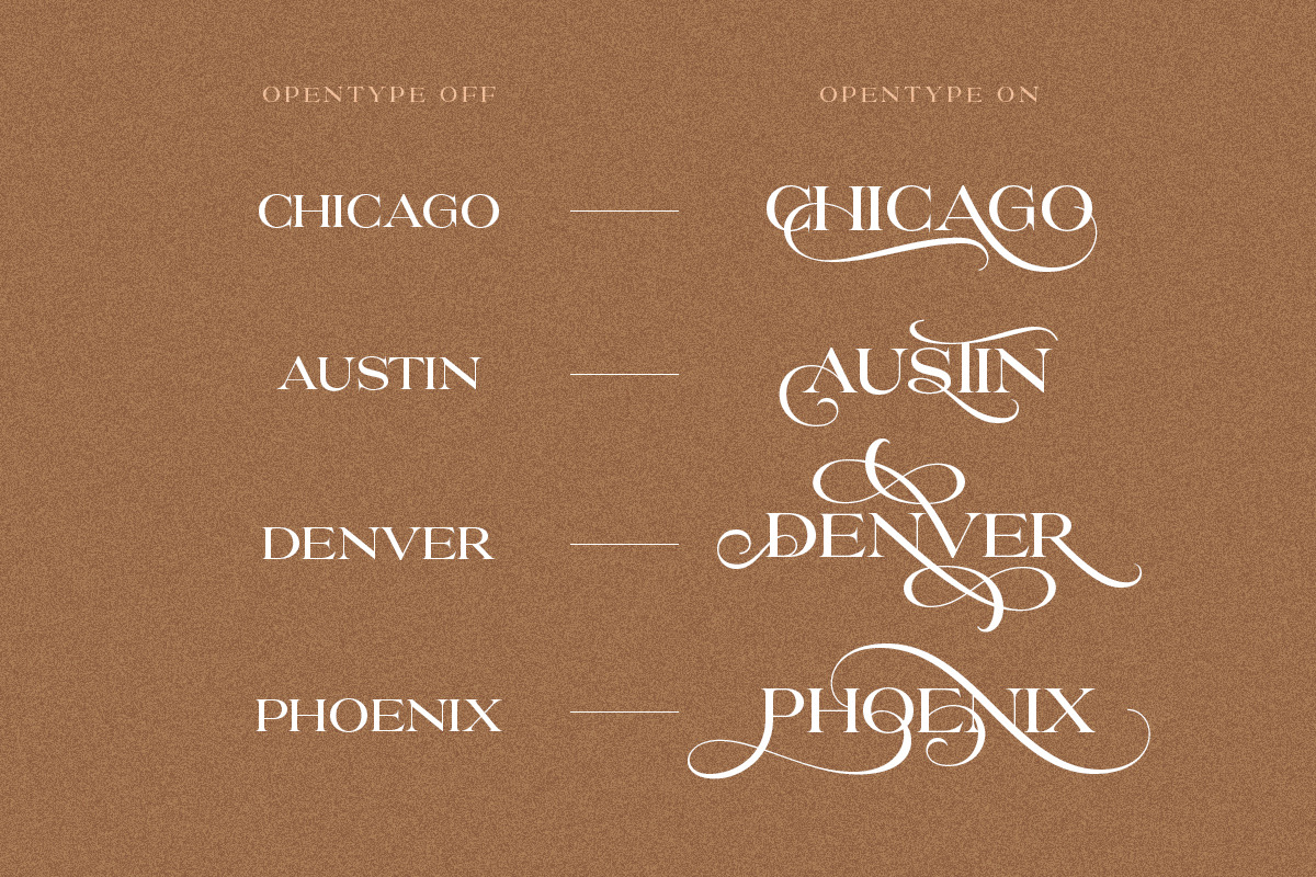 Proyale - Elegant & Stylish Serif, a Serif Font by Sarid Ezra (Photo 7 of 10)
