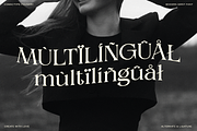 Alverich - Modern Serif Font, a Serif Font by Comactype Foundry (Thumbnail 19 of 22)