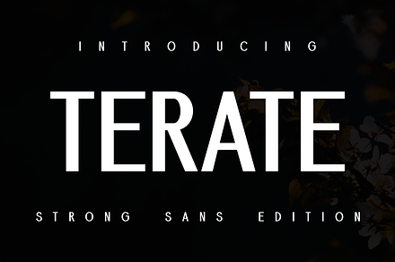 Demore Terate New Sans Font, a Sans Serif Font by Monoletter Studio