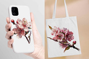 12 Watercolor Cherry Blossom Clipart, a Decorative Illustration by Jalina Clipart Studio (Thumbnail 5 of 9)
