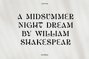 Hanoble - Modern Ligature Serif, a Serif Font by Vesvocrea (Thumbnail 4 of 13)