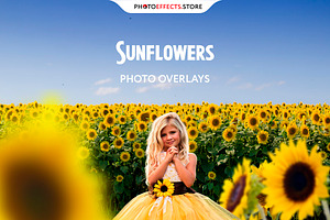 Sunflower Photo Overlays Backdrops