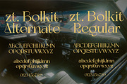 ZT Bolkit - Display Serif, a Serif Font by zelow type (Thumbnail 10 of 15)