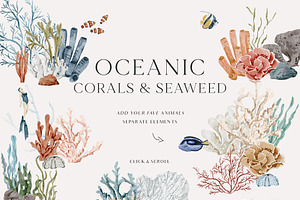 OCEAN Undersea Coral Reef Animals