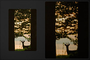 Embroidery Stitch Photo Effect, a Layer Style Add-On by Milka (Thumbnail 2 of 6)