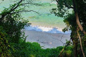 Scenic view of a tranquil sandy beach framed by lush green foliage and clear tu, a Holiday Photo by Ales Munt