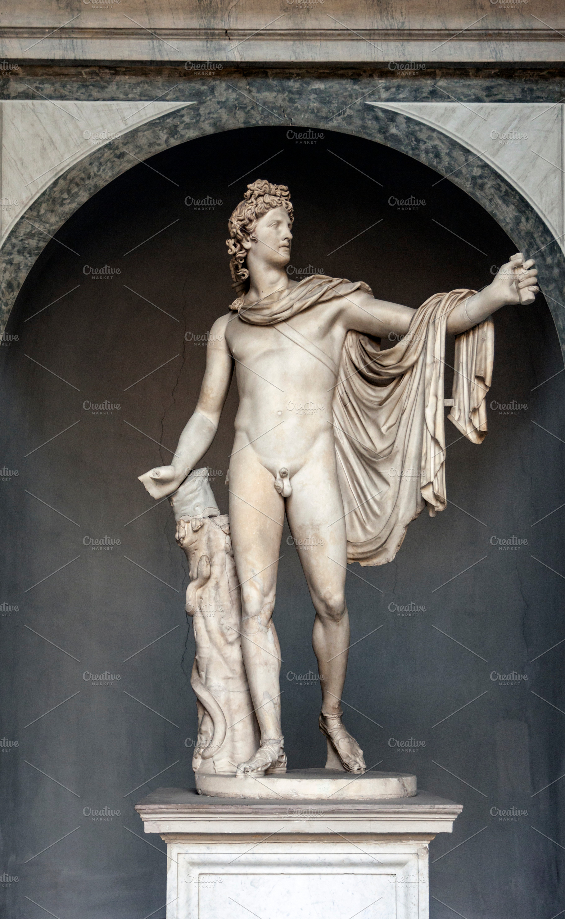 Ancient apollo belvedere statue, an Arts & Entertainment Photo by BOOCYS