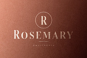 Serizawa - Classic Serif Font, a Serif Font by StringLabs (Thumbnail 10 of 12)