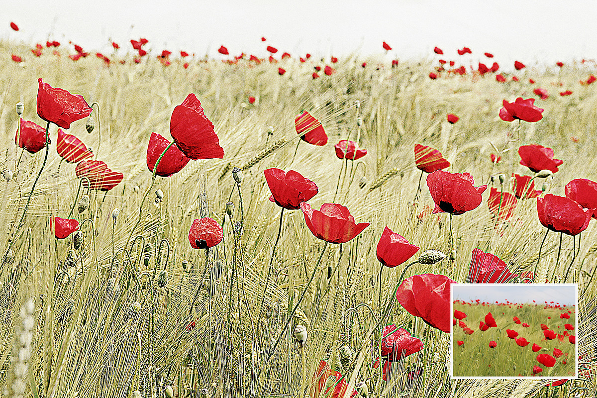 Old Bleach Photoshop Effect, a Templates & Theme by velvetmade.designs (Photo 6 of 12)