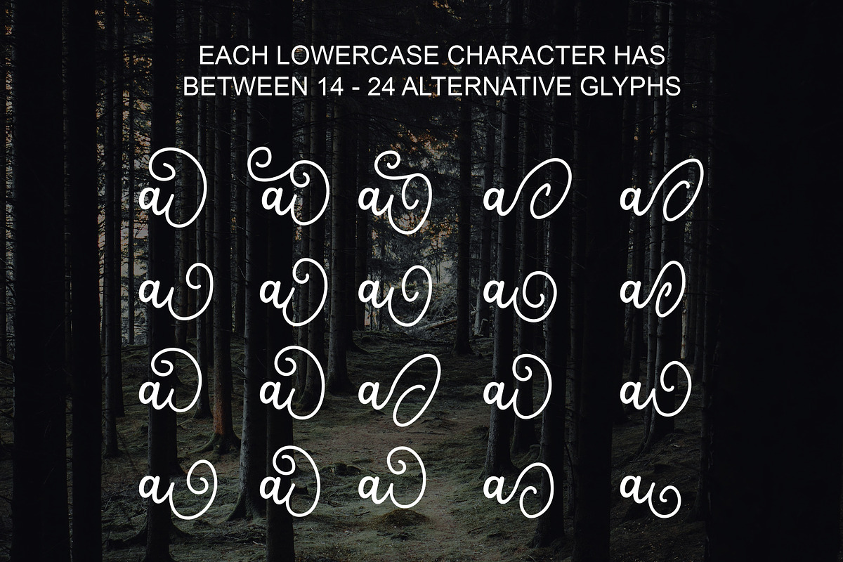 Salahe - a funcy cursive font preview 2