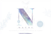 NACRE Monograms & Floral Set, an Object Graphic by Euonia Meraki (Thumbnail 1 of 12)