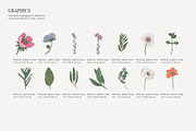 Elegant Floral Patterns: Botanical, a Pattern Graphic by likorbut (Thumbnail 7 of 21)