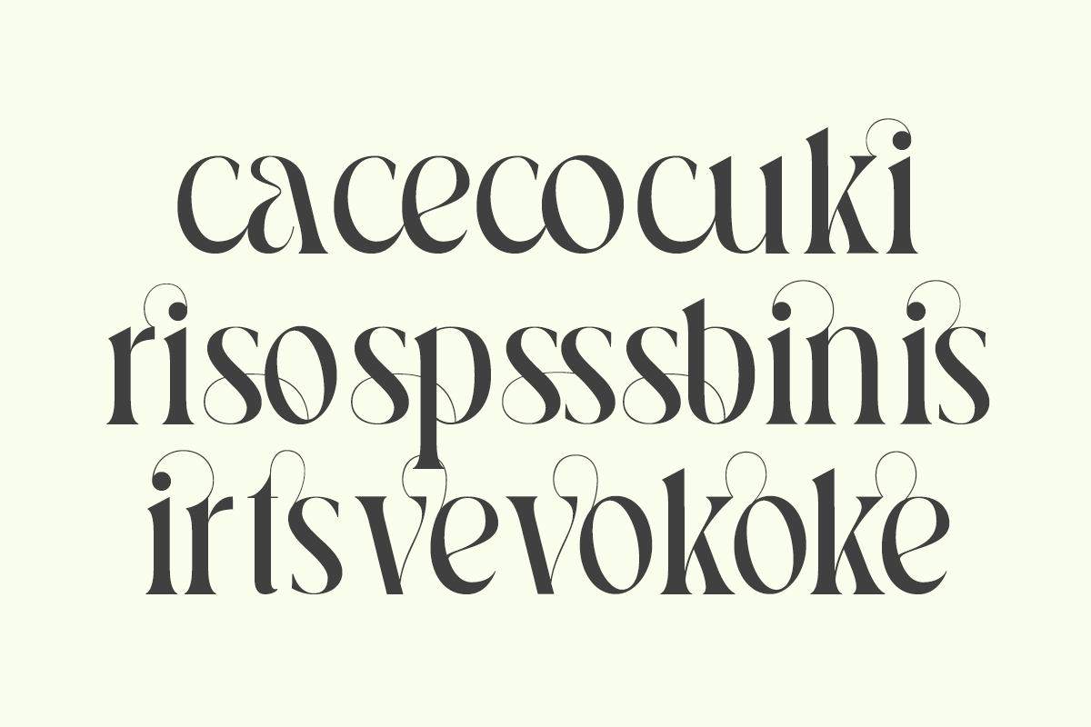 Pavon - 6 Tropic Family, a Serif Font by Dharmas Studio (Photo 15 of 16)