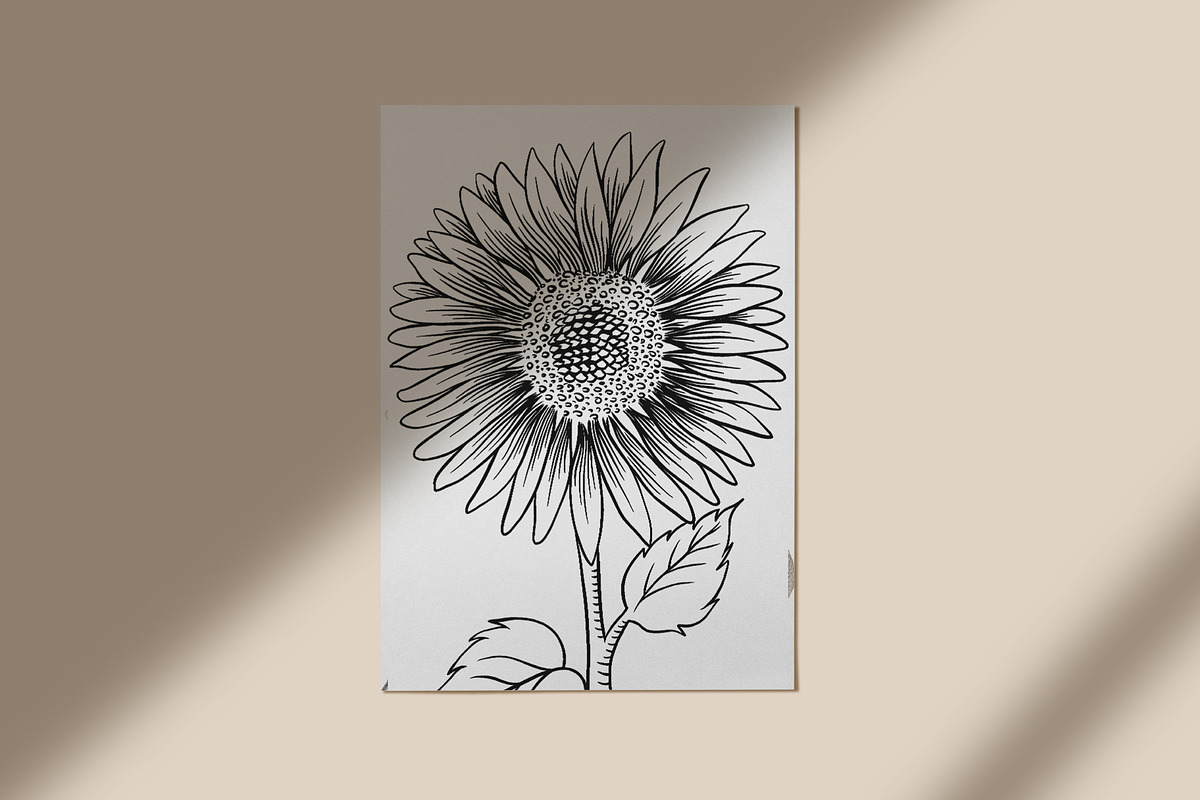 Sunflower clipart collection, an Illustration by Gennadi Digital Studio (Photo 6 of 7)