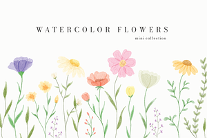 Watercolor Flowers Collection