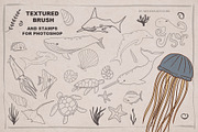 SEA STAMPS for Procreate / Photoshop, a Brush Add-On by Spark Studio Brushes (Thumbnail 3 of 7)
