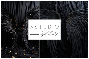 13 Black Angel Wings Backdrops