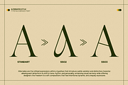 GC Begia - Modern Luxury Typeface, a Serif Font by Glyphonic (Thumbnail 9 of 15)