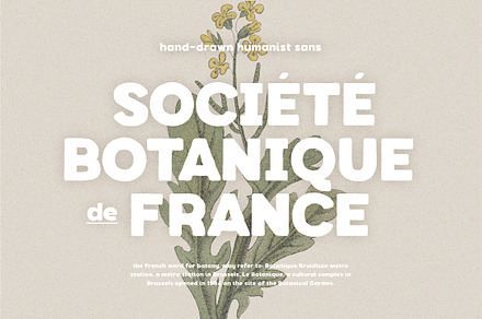 Botanique - Hand-drawn Humanist Sans