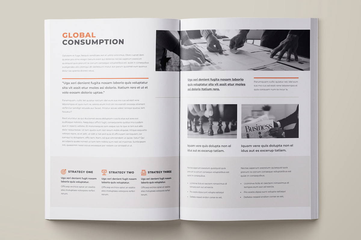 Business Profile Template | Handbook, a Brochure Template by DesVert (Photo 4 of 6)