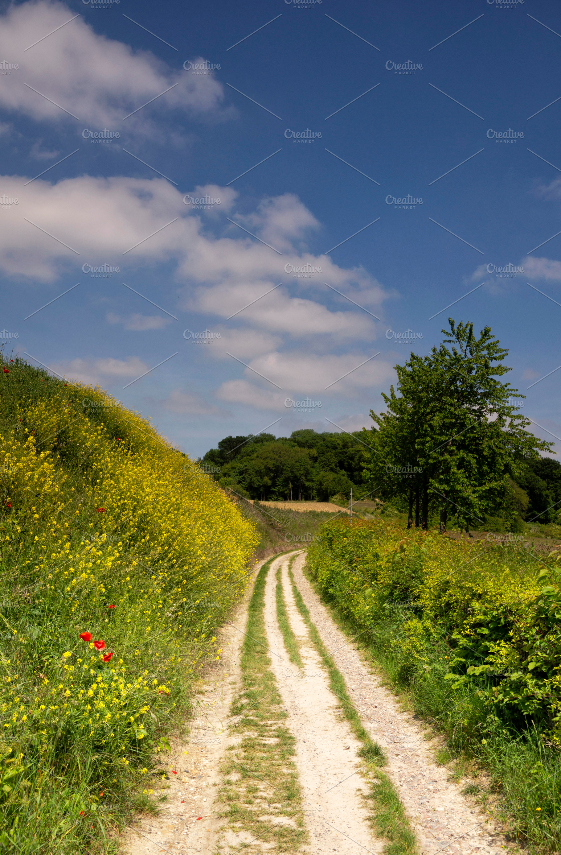 Road towards the Eyserbos, a Nature Photo by John Stuij Photography