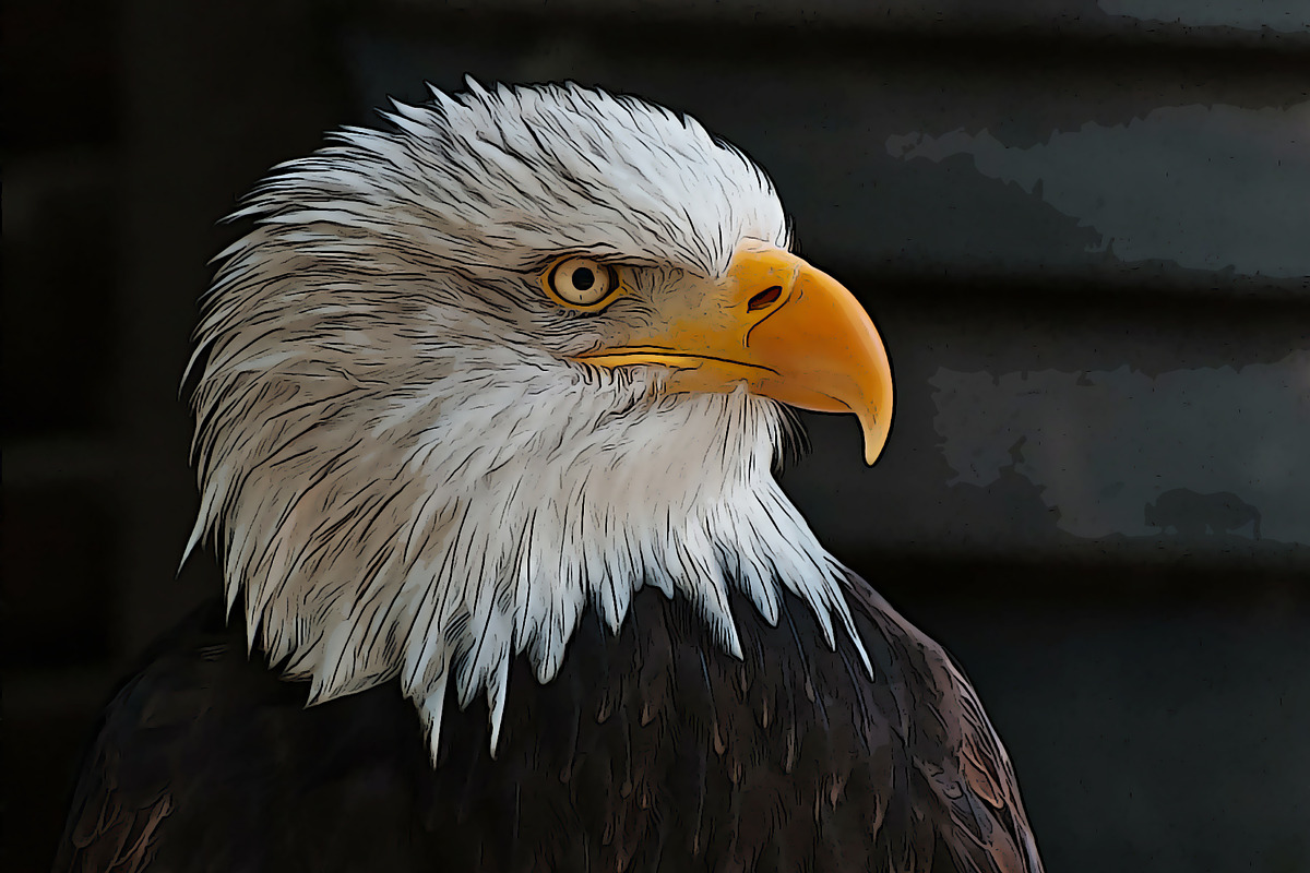 Easy Cartoon Illustration Effect, an Action Add-On by Dene Studios (Photo 18 of 21)