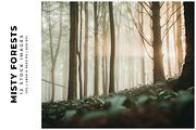 Misty Forests, a Nature Photo by Digital Art Creations (Thumbnail 1 of 5)