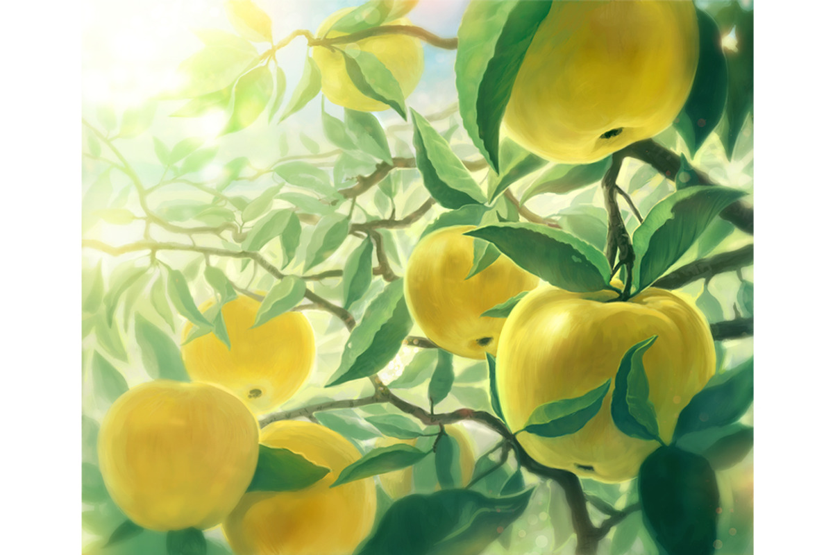 Apple set, a Food Illustration by Countryside life (Photo 8 of 12)