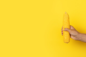 Female hand with yellow nail polish gripping a whole ear of corn, a Food & Drink Photo by Ales Munt