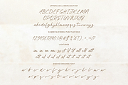 Bristleback, a Script Font by Shopifont.co (Thumbnail 12 of 13)
