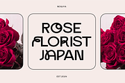 Noguya - Experimental Unique Font, a Sans Serif Font by Elmous (Thumbnail 4 of 6)
